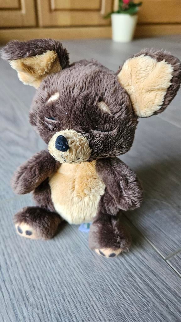 Nici beertje knuffel, Ophalen of Verzenden, Beer
