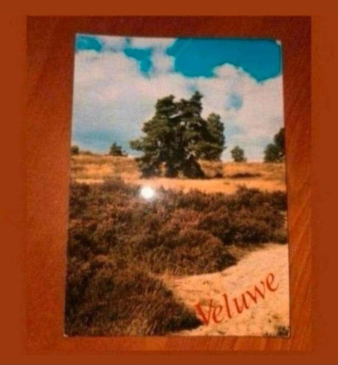 Ansichtkaart Veluwe - gelopen, Ophalen of Verzenden, 1980 tot heden, Gelopen, Gelderland