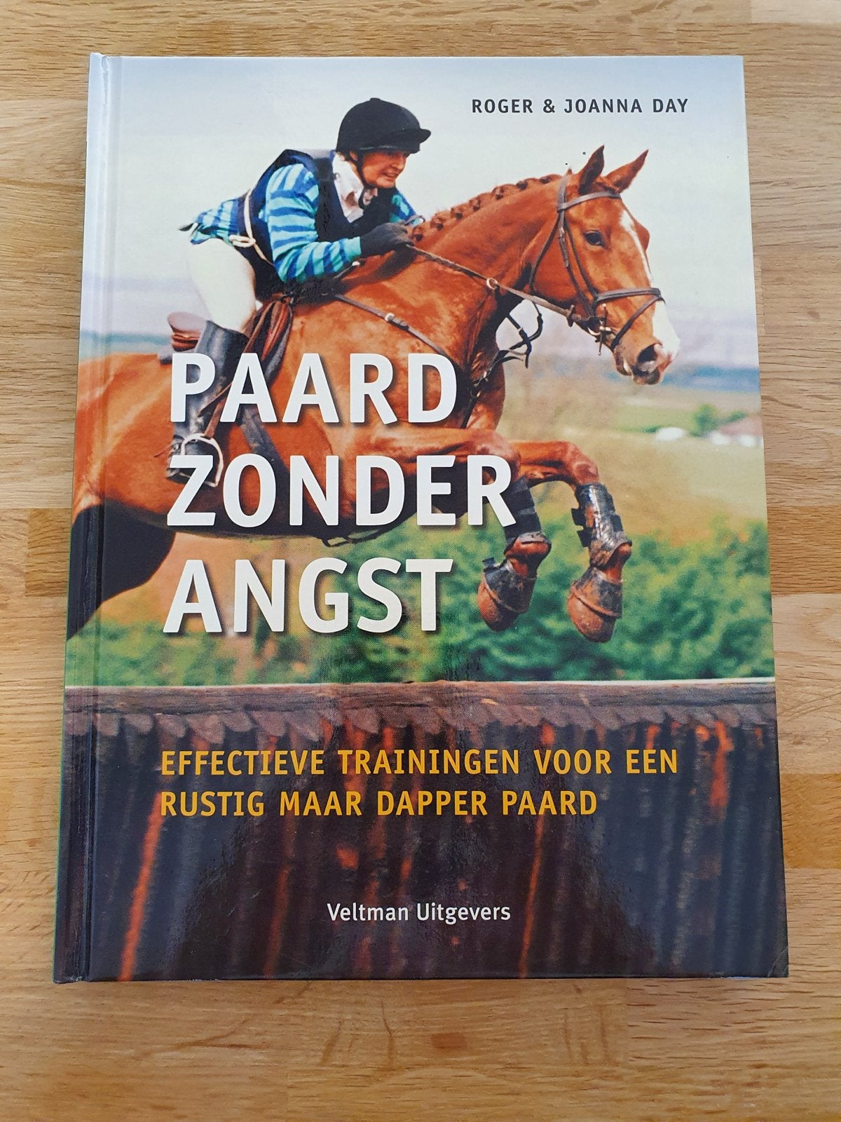 J. Day - Paard zonder angst, J. Day; R. Day, Ophalen of Verzenden, Zo goed als nieuw, Overige sporten