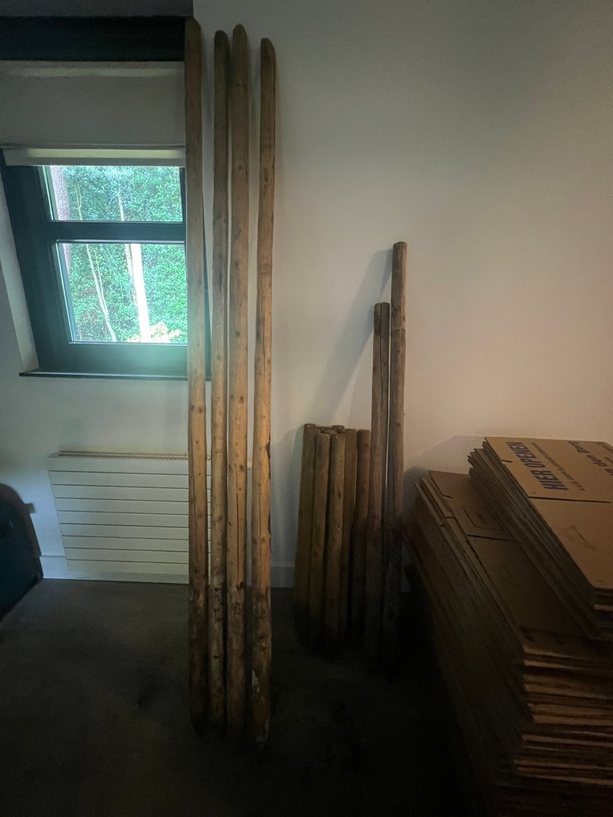 Boompalen, Bloeit niet, Overige soorten, 100 tot 250 cm, Ophalen