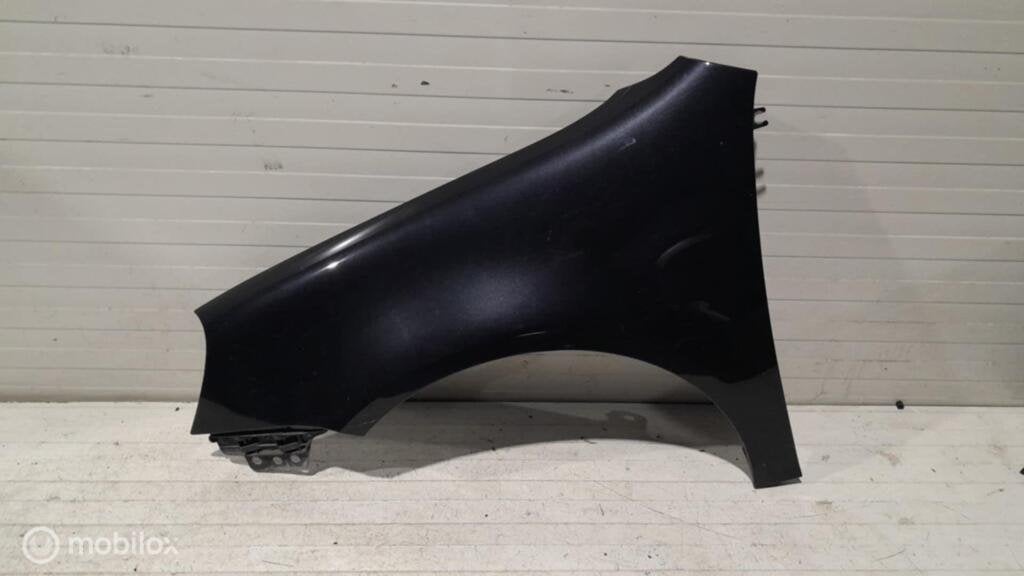 Spatscherm Volkswagen Golf 5, Gebruikt, Ophalen of Verzenden