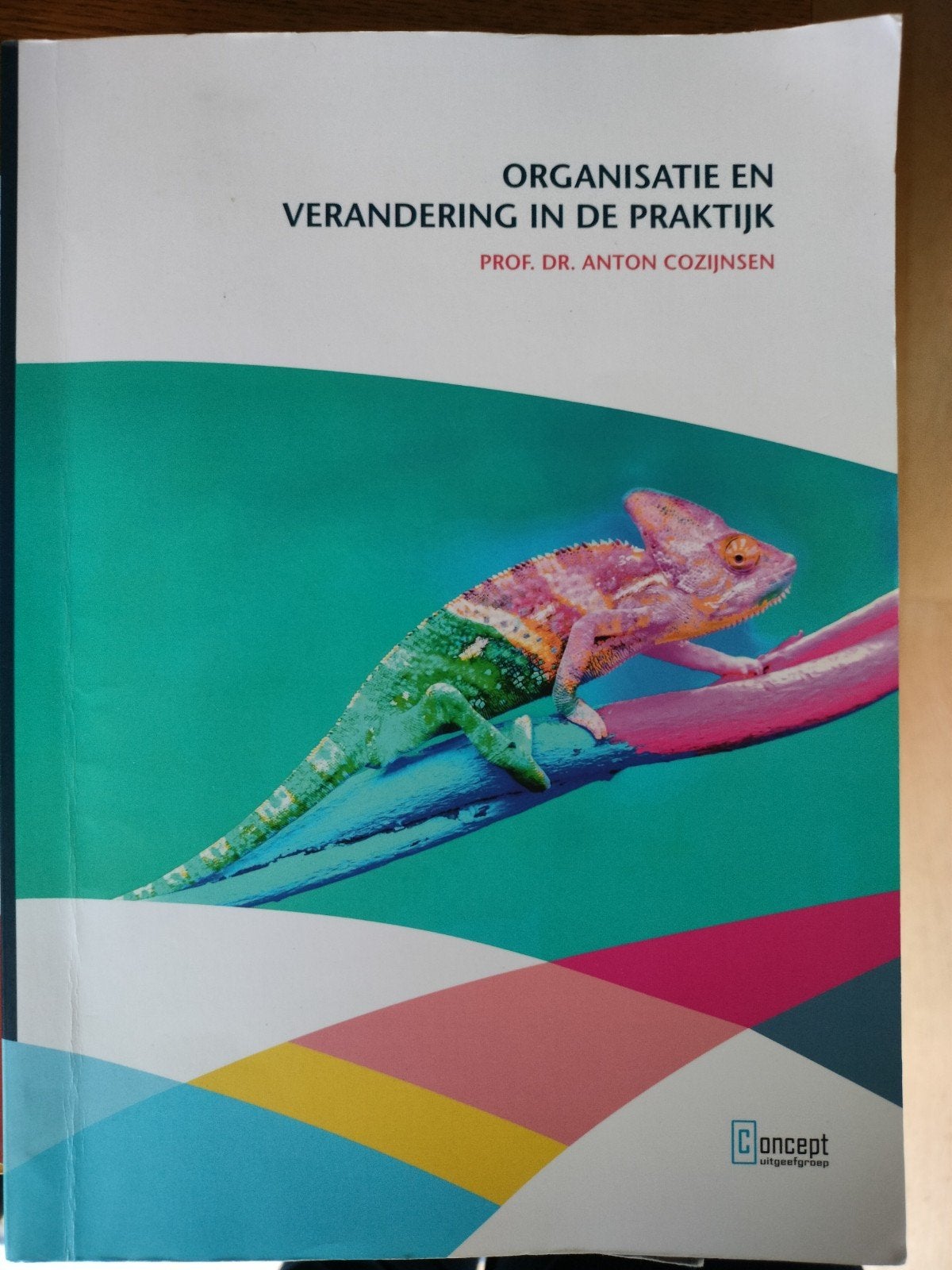 Organisatie en Verandering in de Praktijk - Anton Cozijnsen, Prof. Dr. Anton Cozijnsen, Zo goed als nieuw, Gamma, HBO
