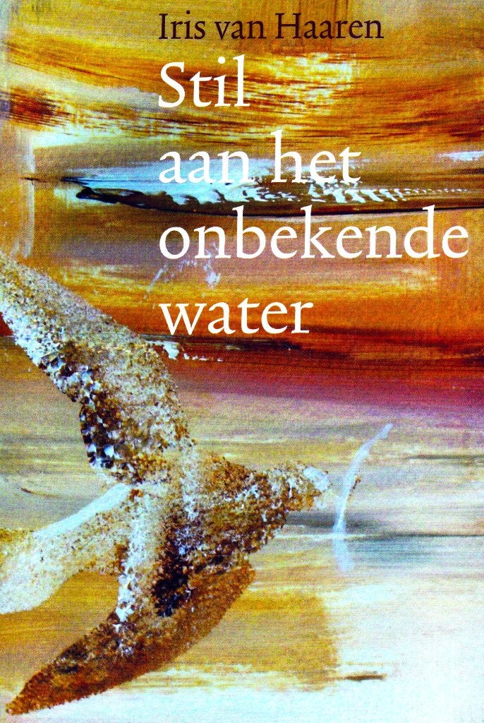 Stil aan het Onbekende Water - Iris van Haaren 9789461550279, Iris van Haaren, Ophalen of Verzenden, Zo goed als nieuw, Schilder- en Tekenkunst