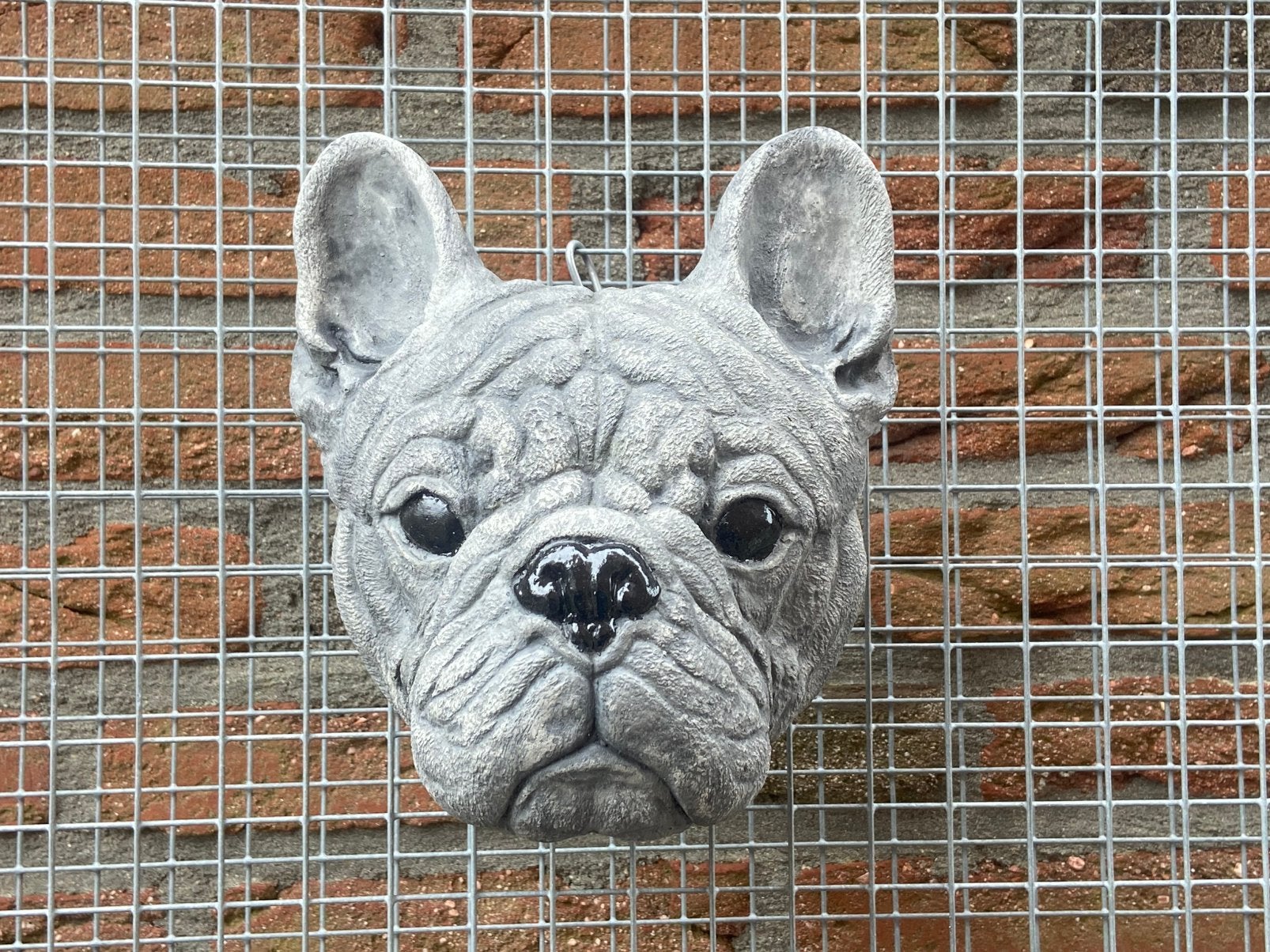 Franse Bulldog kop, Ophalen, Nieuw, Beton, Dierenbeeld
