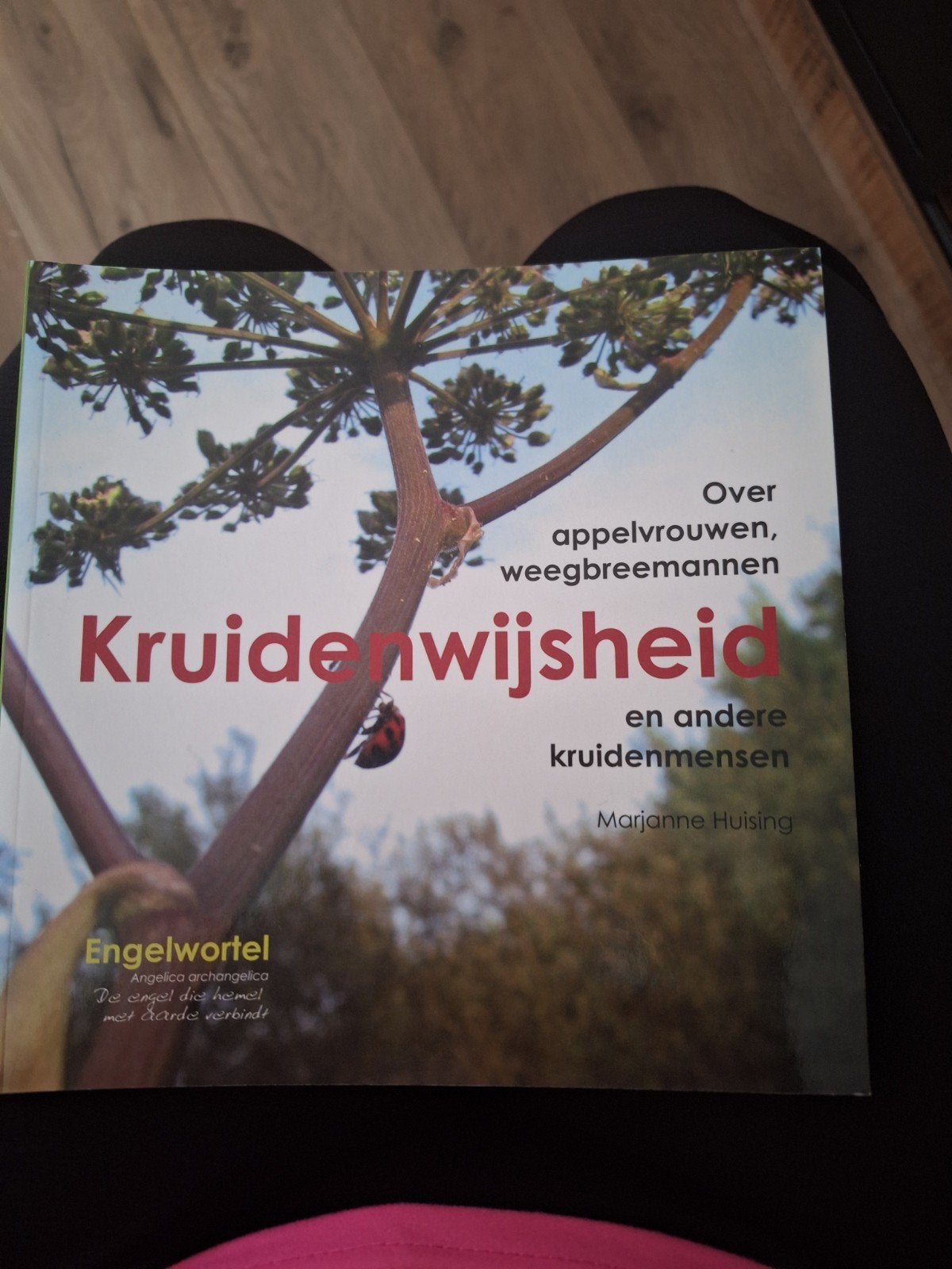 Kruidenwijsheid: Over appelvrouwen, weegbreemannen en meer, Boeken, Ophalen of Verzenden