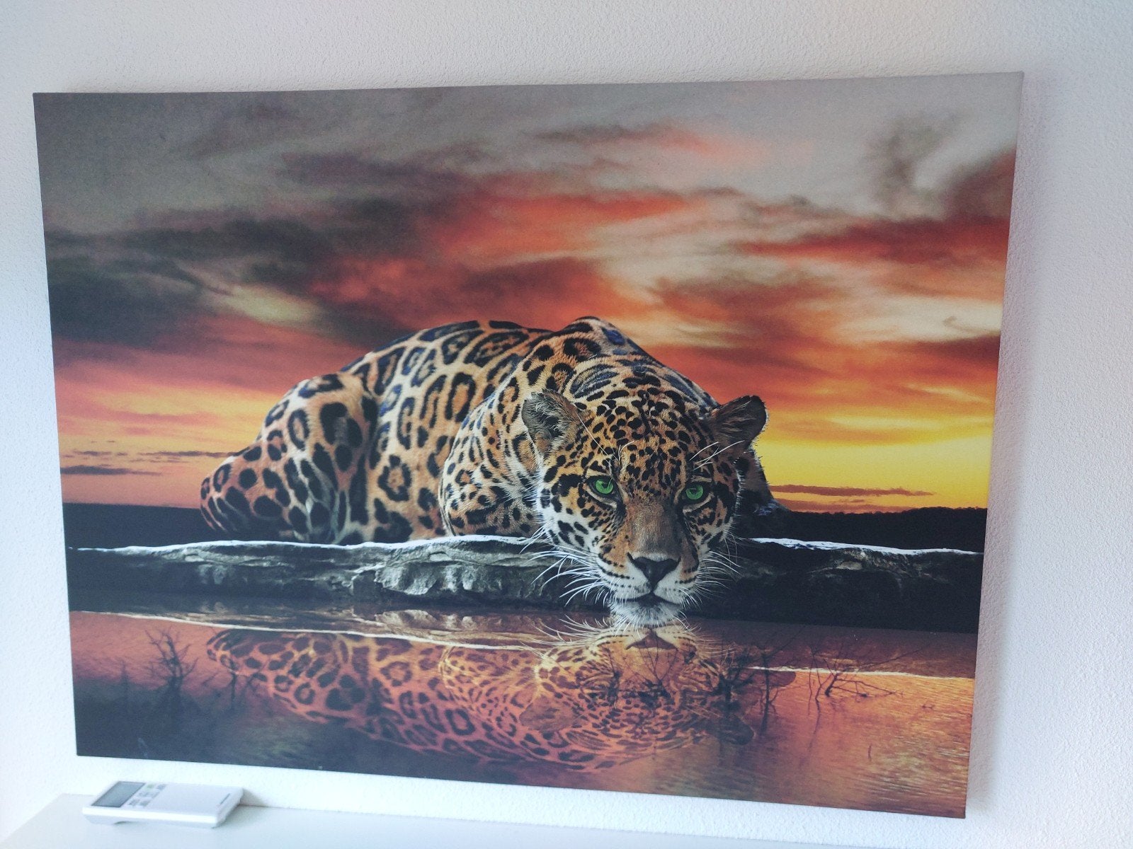 Schilderij luipaard met reflectie in water canvas, Ophalen of Verzenden, Zo goed als nieuw, Schilderij, 100 tot 125 cm