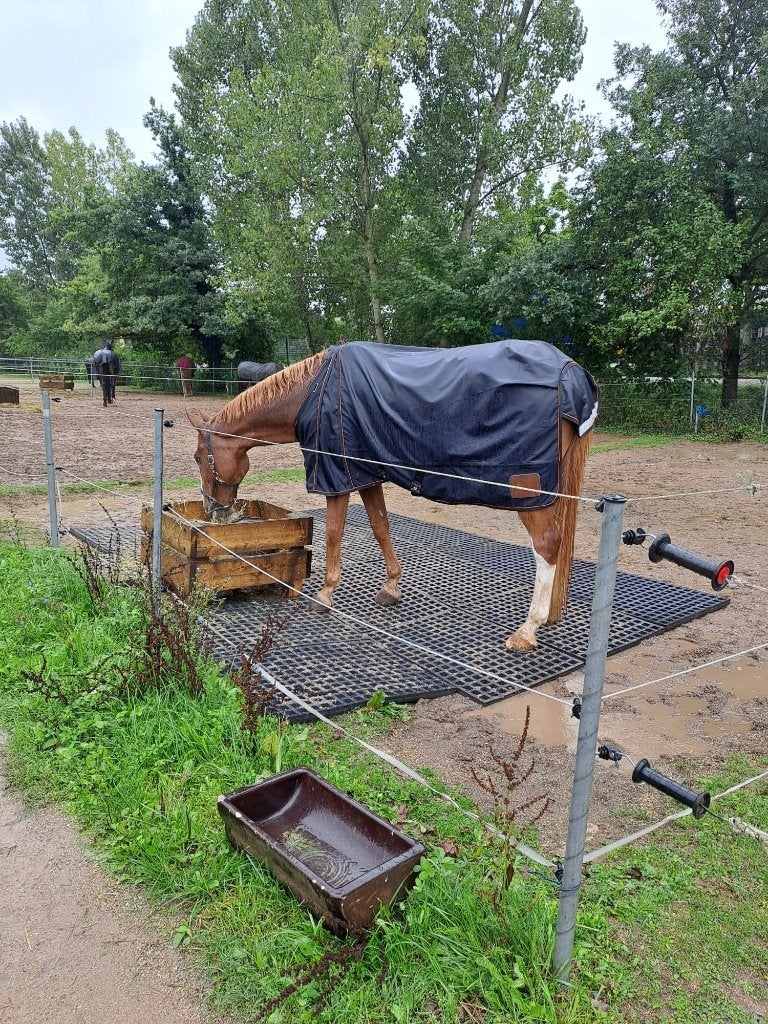 Mudmodder paddockplaten XXL Paard pony paddock stalling, Dieren en Toebehoren, Stalling