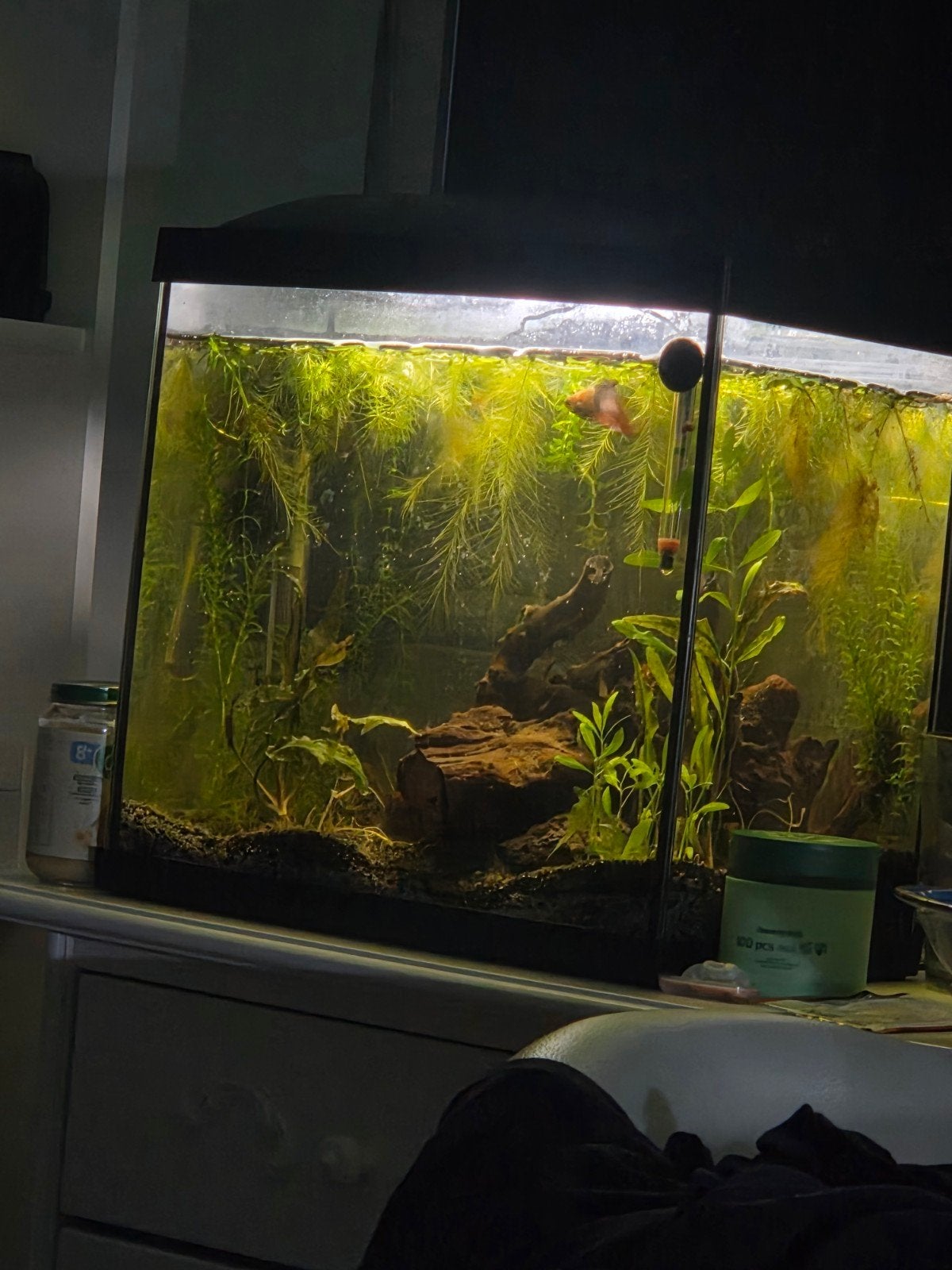 Aquarium superfish, Ophalen, Zo goed als nieuw, Leeg aquarium, Inclusief deksel