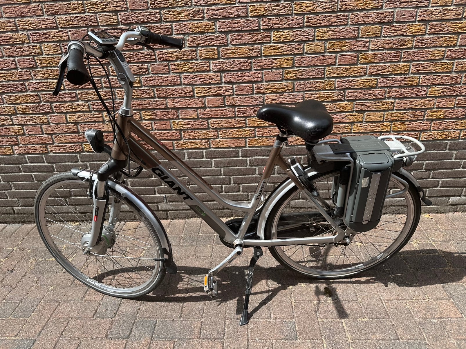 Giant Twist Go Double Power E-bike, Ophalen, Gebruikt, Giant, 51 tot 55 cm
