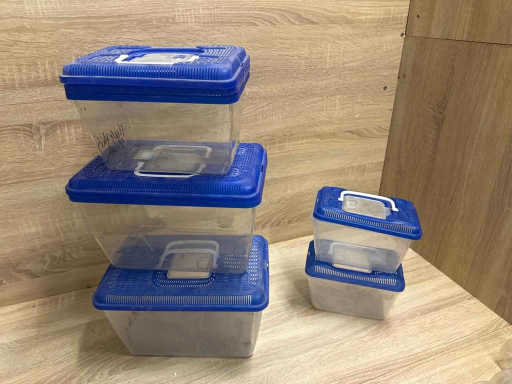 Bakjes met deksel voor vissen of intsecten of geleedpotigen, Ophalen of Verzenden, Zo goed als nieuw, Leeg aquarium