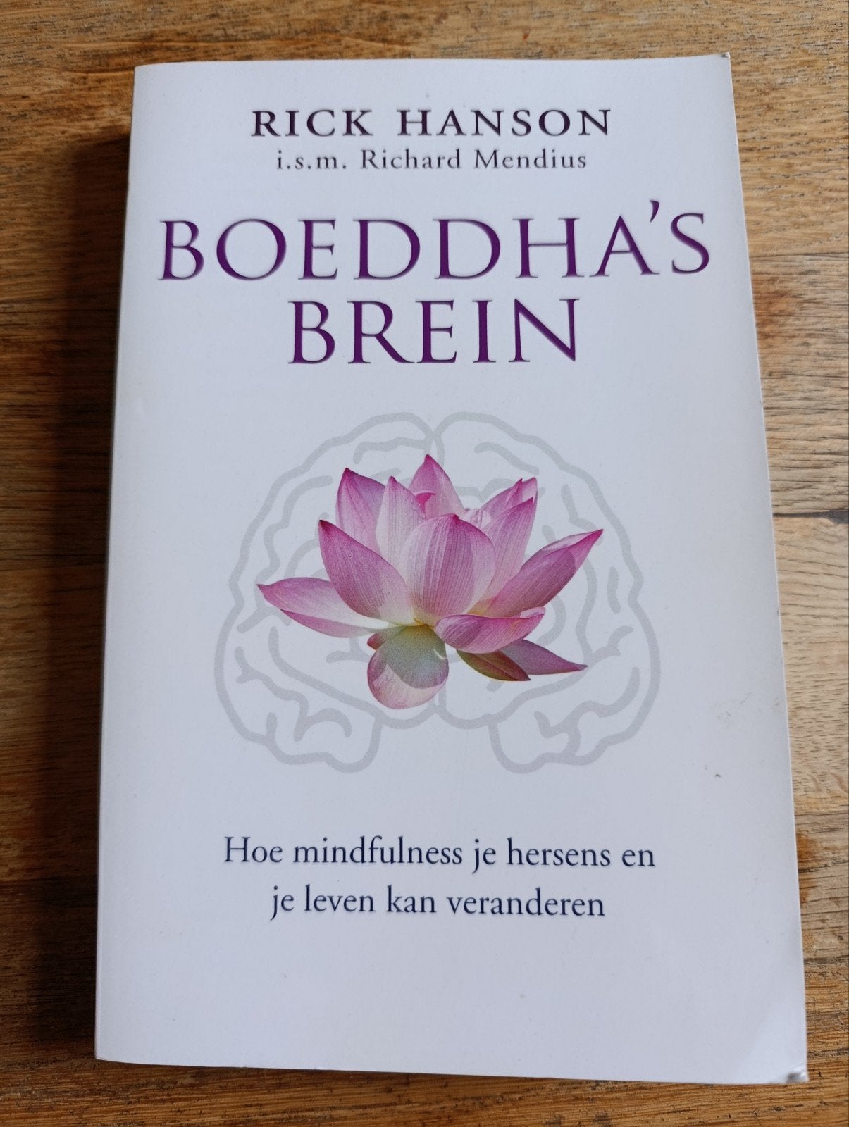 Rick Hanson, Boeddha`s brein, Ophalen of Verzenden, Zo goed als nieuw, Rick Hanson