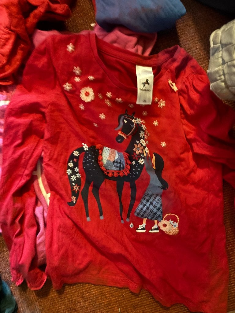 Rood shirt met paard in maat 128, Ophalen, Zo goed als nieuw, Meisje, Shirt of Longsleeve