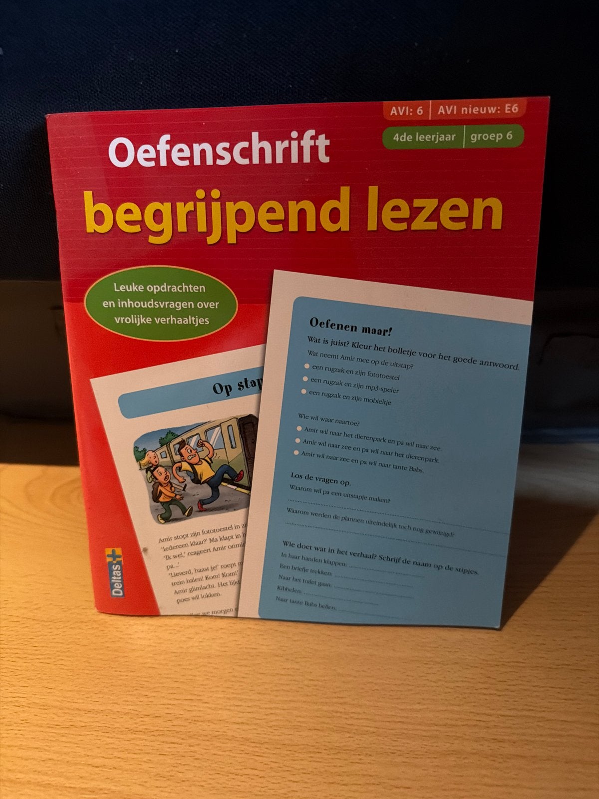Oefenschrift begrijpend lezen AVI E6 - 4e leerjaar groep 6, Boeken, Ophalen of Verzenden, Zo goed als nieuw, Overige niveaus, Nederlands