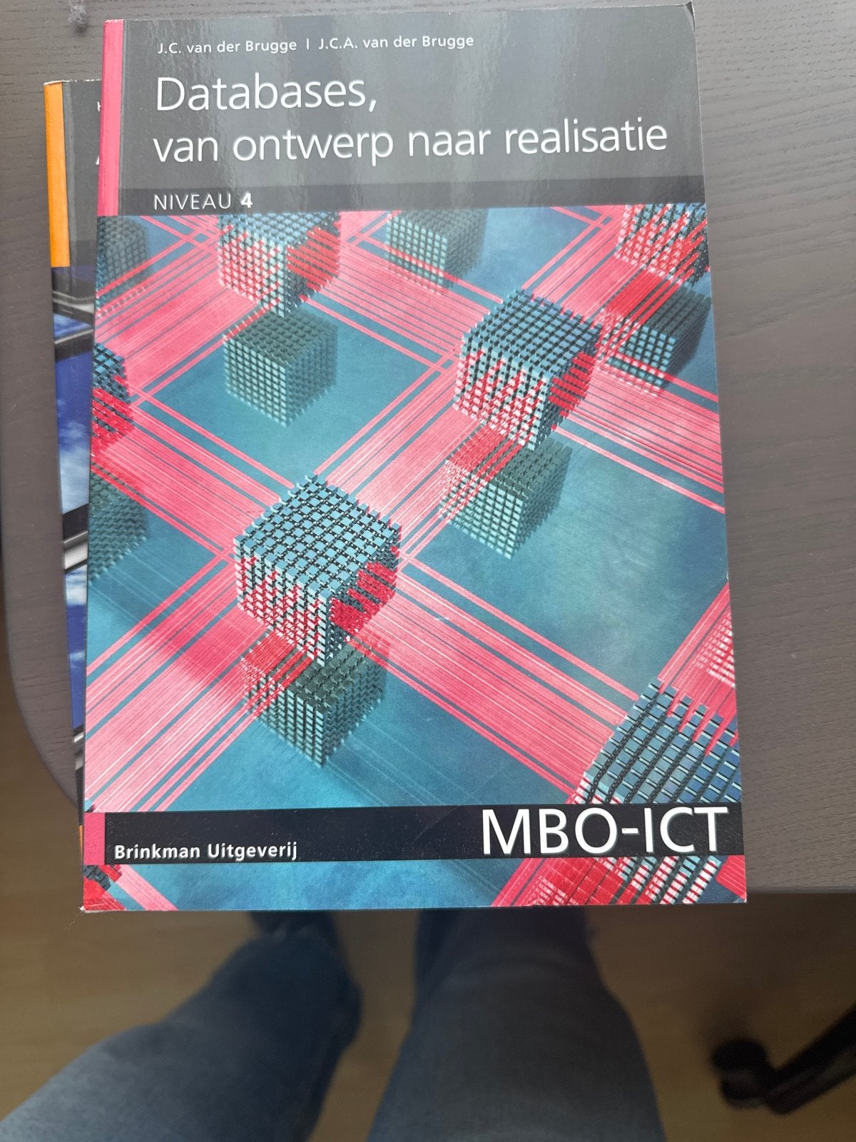 Studieboek Databases, van ontwerp naar realisatie MBO-ICT, Boeken, Ophalen of Verzenden, Beta, Zo goed als nieuw, MBO