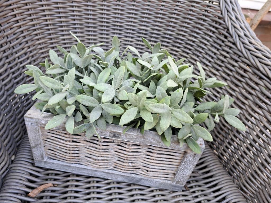 Mandje met kunstplantjes, Ophalen of Verzenden