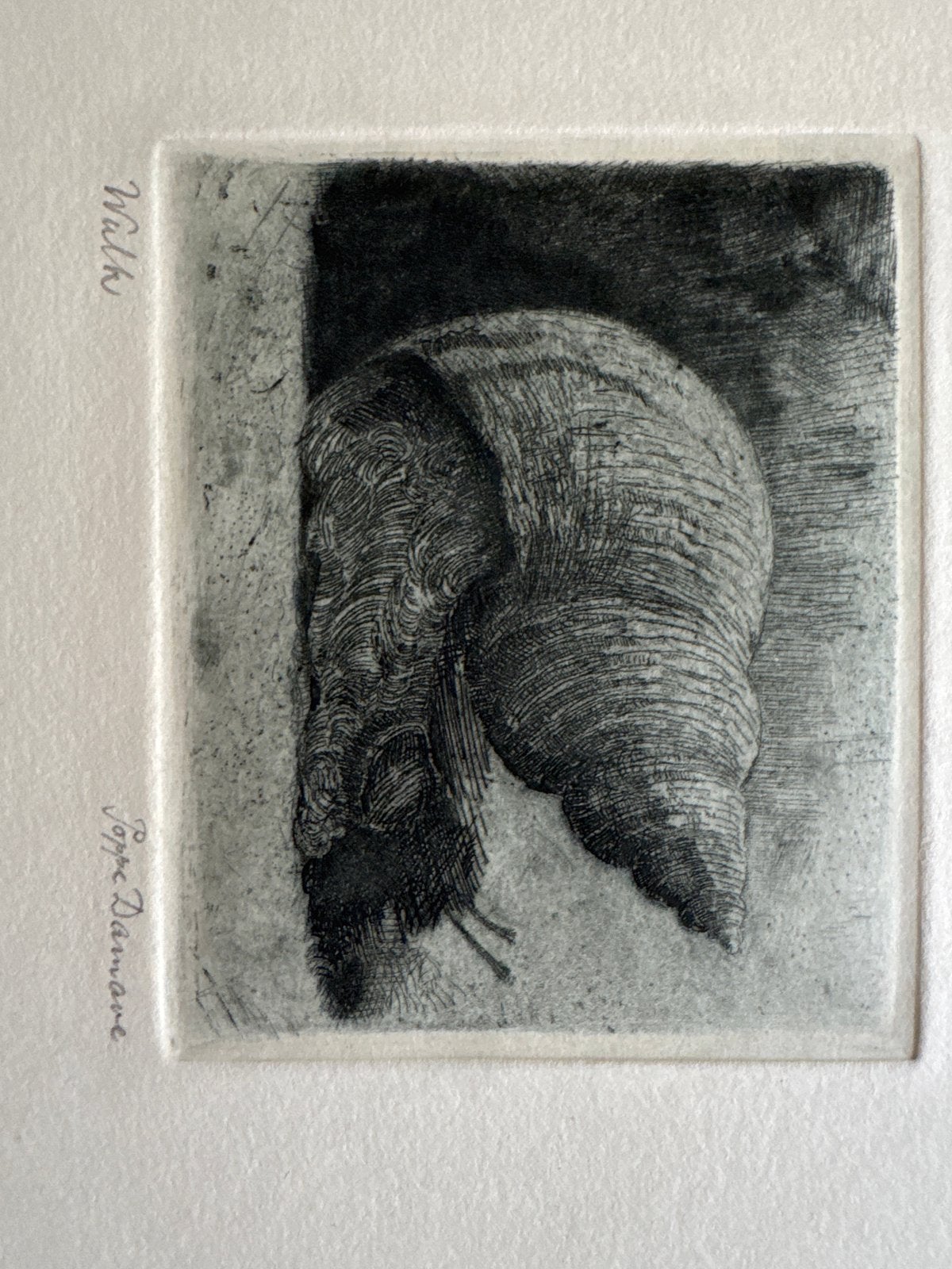 Ets van Poppe Damave: 'Walk' - Slakkenhuis, Ophalen of Verzenden, 9 cm, 1950 - 1999, Ets