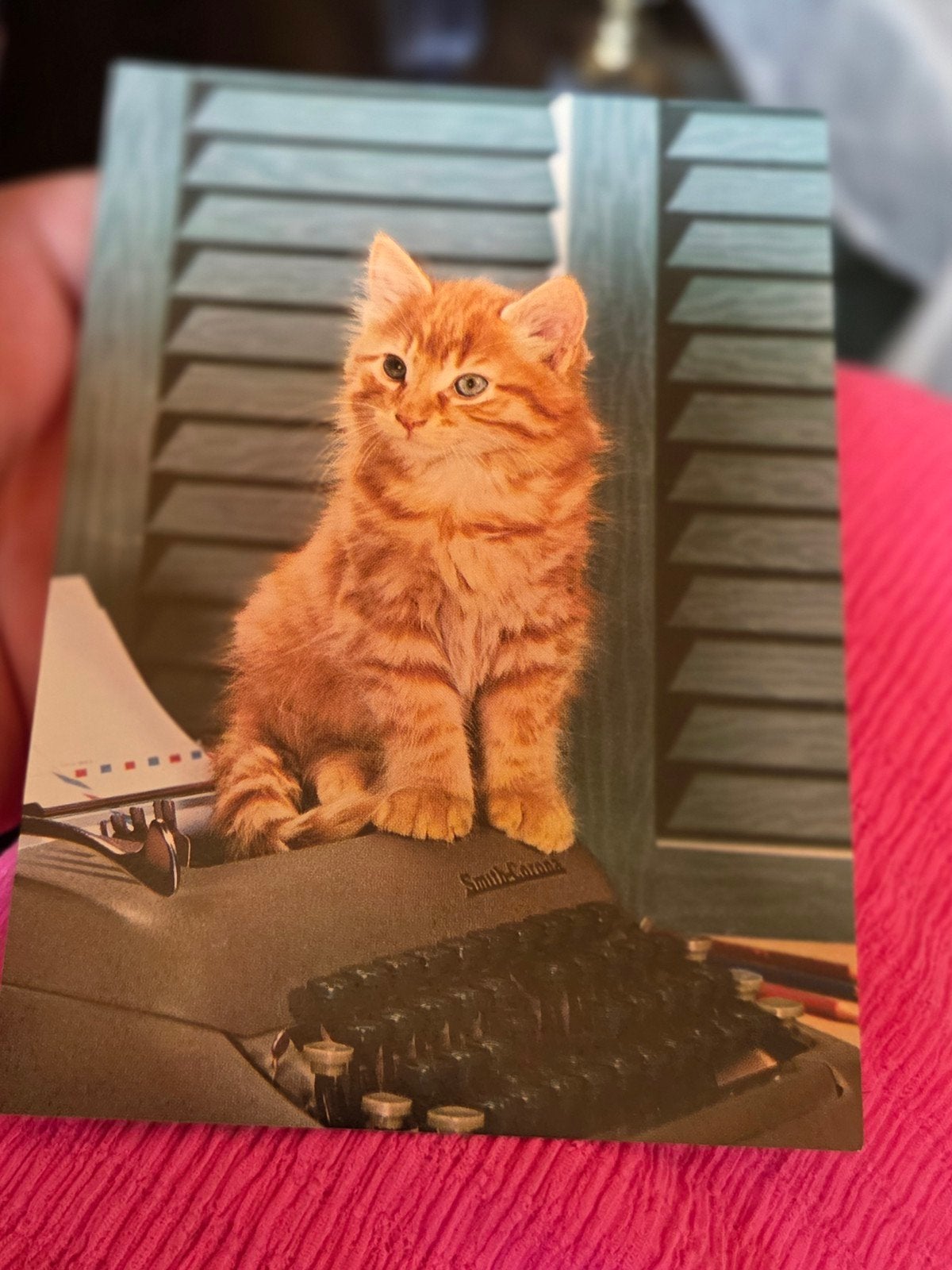 Schattige rode kitten op typemachine - Ansichtkaart, Ophalen of Verzenden, 1980 tot heden, Ongelopen