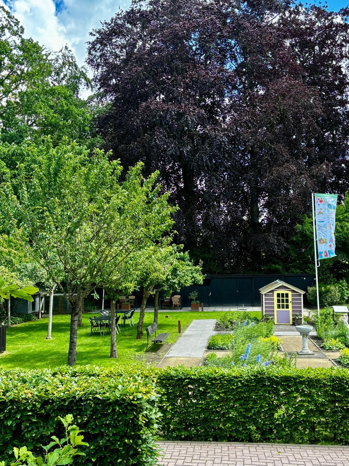 Gezocht: Lieve tamme kippen voor in onze Huystuyn, Vrouwelijk, Kip