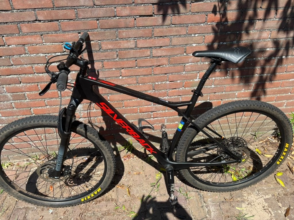Silverback Mountainbike carbon 29", Gebruikt, Hardtail, Heren, 49 tot 53 cm