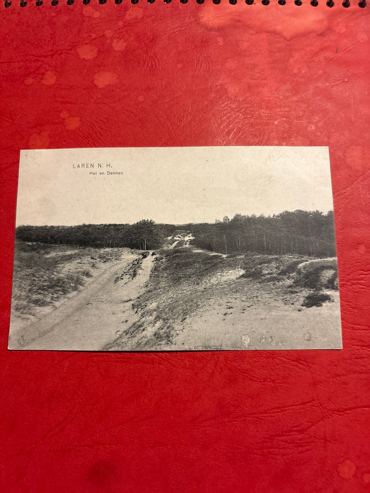 Oude ansichtkaart Laren N.H. - Hei en Dennen, Ophalen of Verzenden, Voor 1920, Gelopen, Noord-Holland