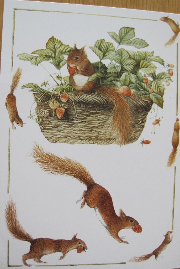 voor het kind - Marjolein Bastin - natuur - eekhoorns - 1991, Verzenden, 1980 tot heden, Ongelopen, Knaagdier