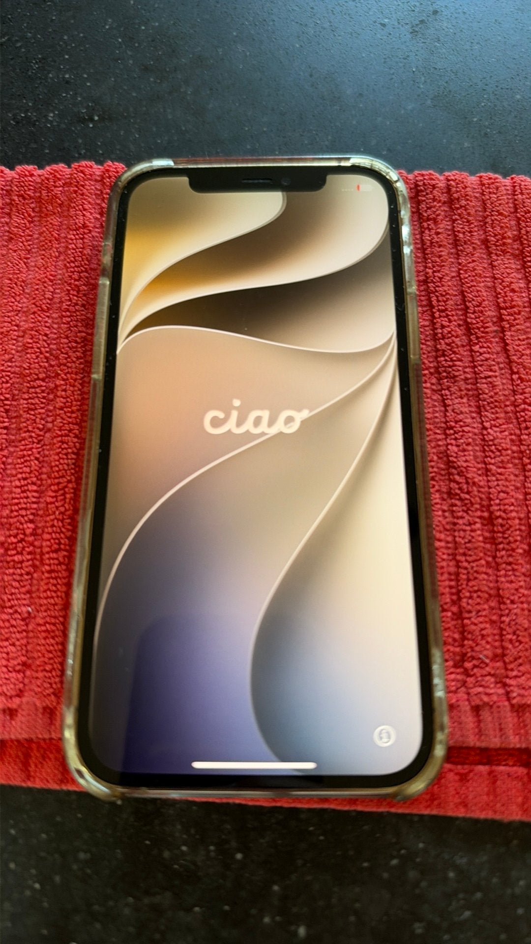 iPhone 12 Pro met Clear Case - Goede Conditie, 80 %, IPhone 12 Pro, Zo goed als nieuw, Zonder simlock