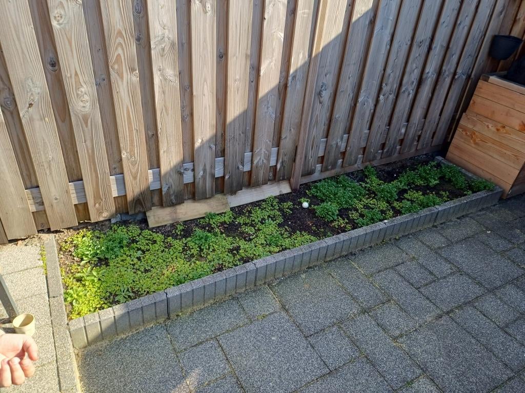 Beunhazen 2 personen, Ophalen of Verzenden, Hout