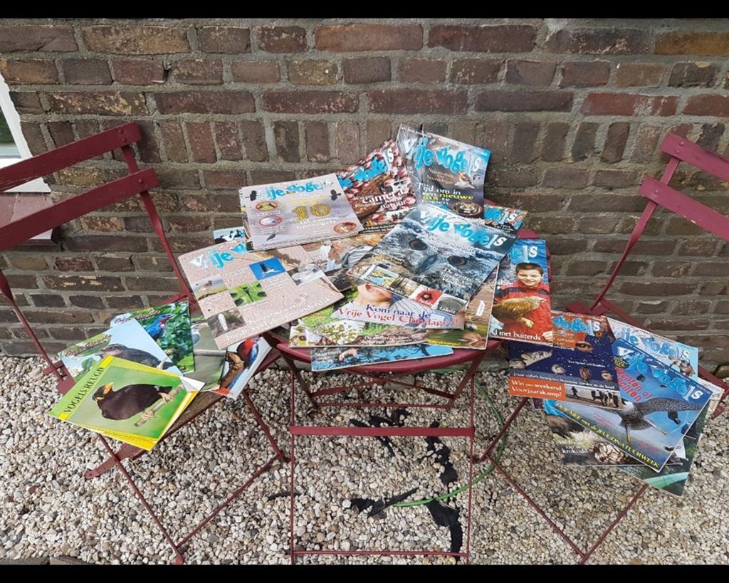 Magazines 31 x vrije vogels 4 x onze vogels 1 x vogelvreugd, Ophalen of Verzenden, Zo goed als nieuw, Vogels
