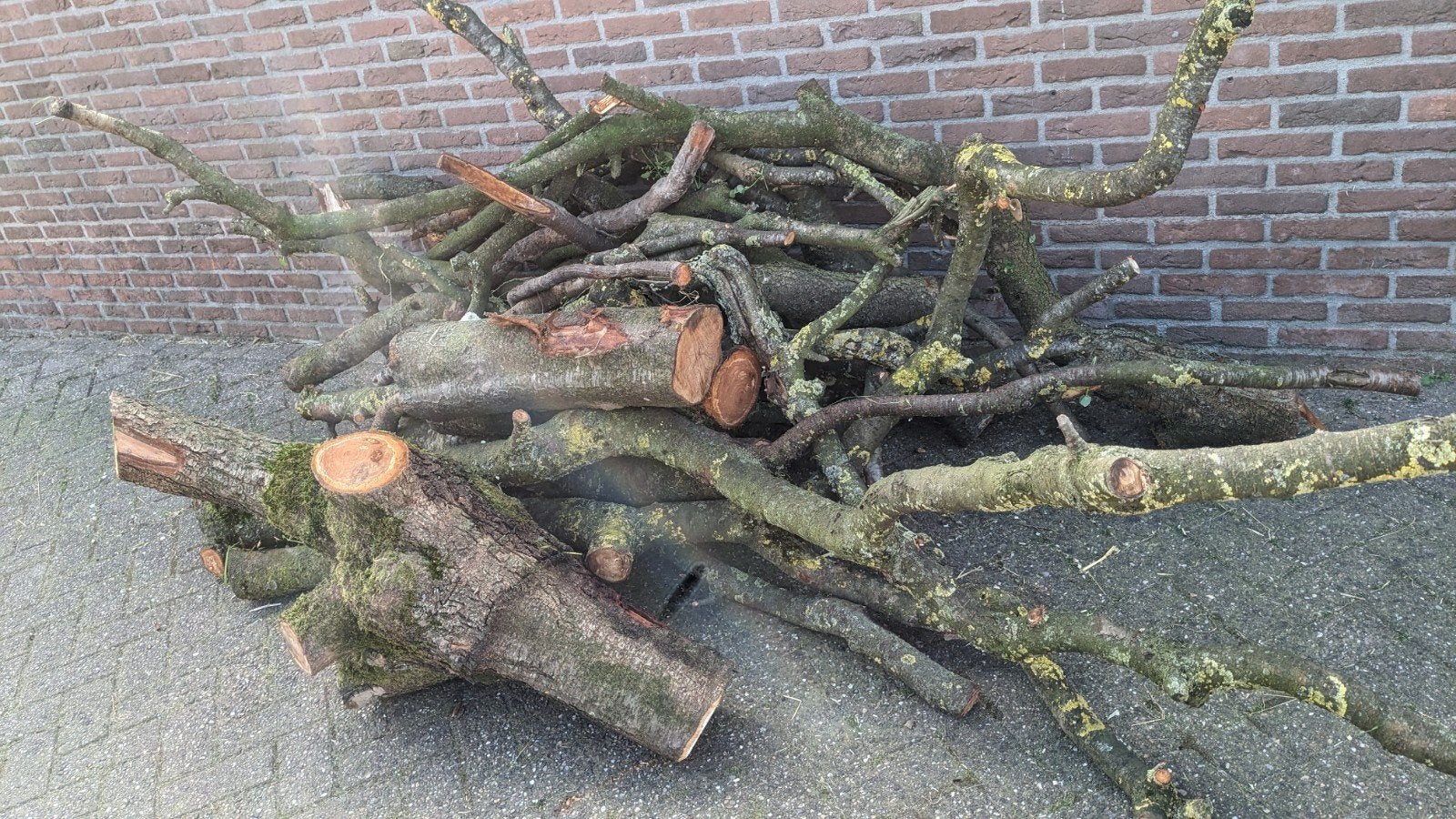 Openhaardhout pruimen en kersen, Minder dan 3 m³, Ophalen, Stammen