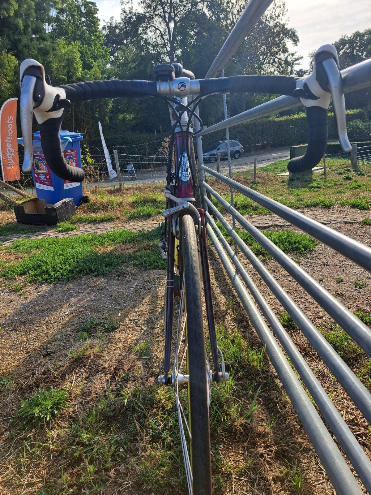 gazelle racefiets met Campagnolo onderdelen, Ophalen, Zo goed als nieuw, Gazelle, 53 tot 57 cm