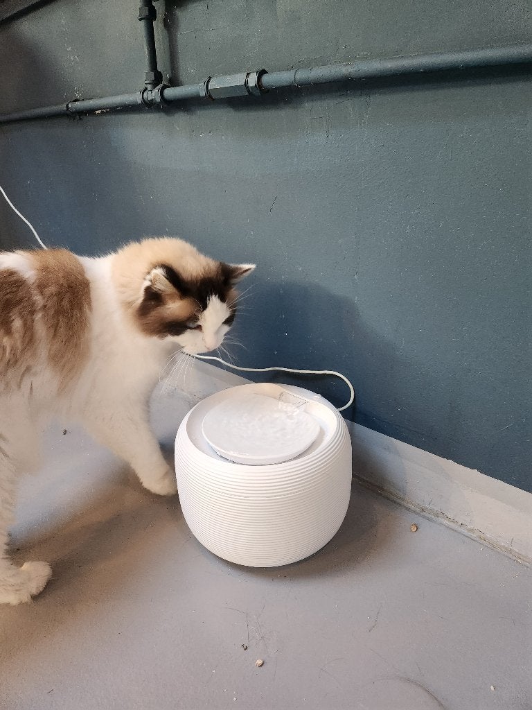Nieuw: Katten Water Drinkfontein met Stille Pomp, Ophalen of Verzenden, Nieuw