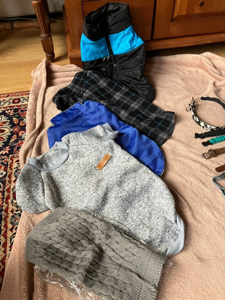 5 hondenjasje en truitjes, Ophalen of Verzenden, Zo goed als nieuw, Hondenjas
