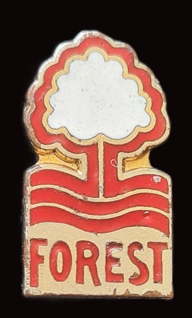 Nottingham Forest speld, Ophalen of Verzenden, Zo goed als nieuw, Sport, Speldje of Pin