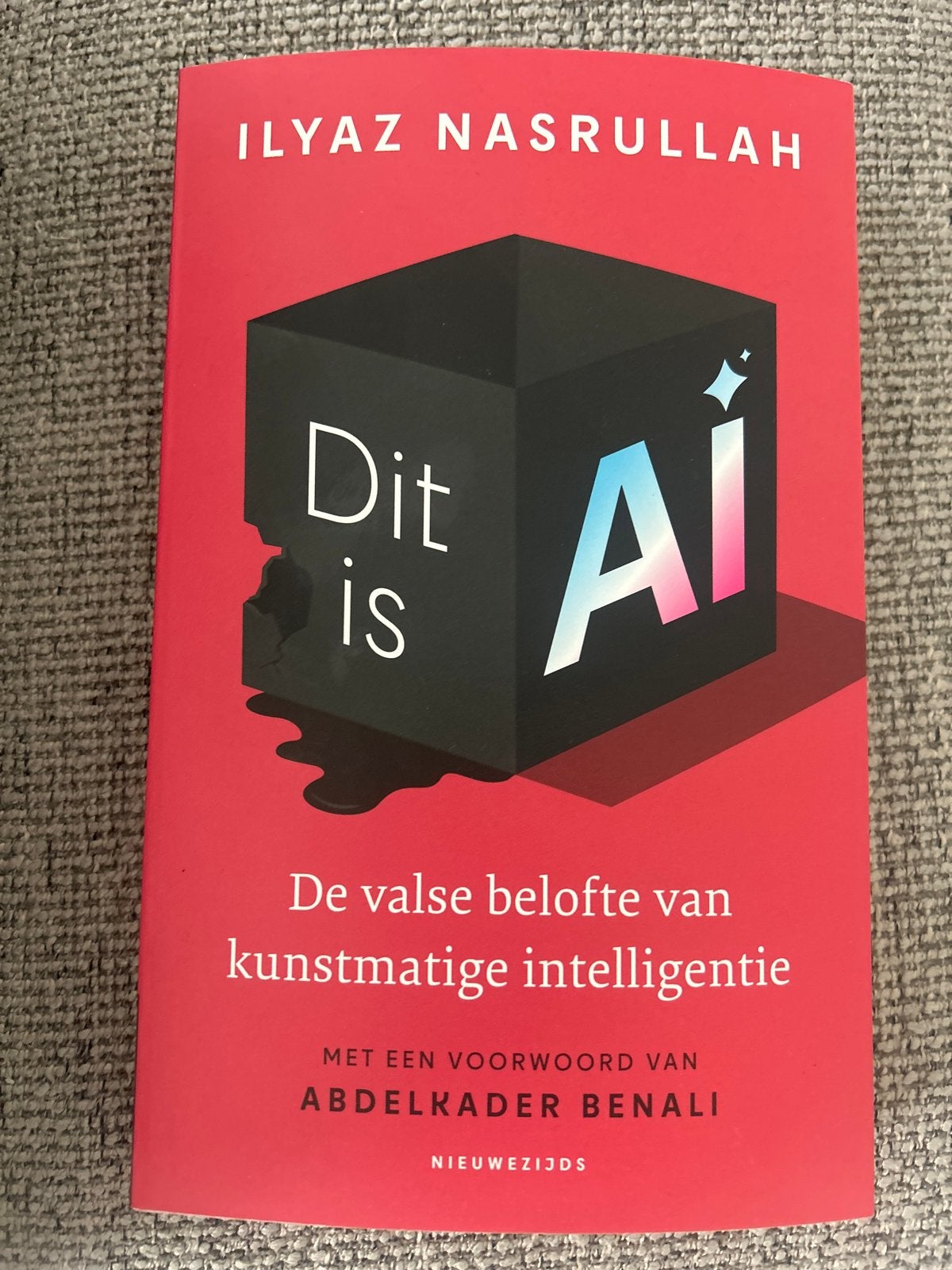 Dit is AI - De valse belofte van kunstmatige intelligentie, Ophalen of Verzenden, Zo goed als nieuw, Overige wetenschappen