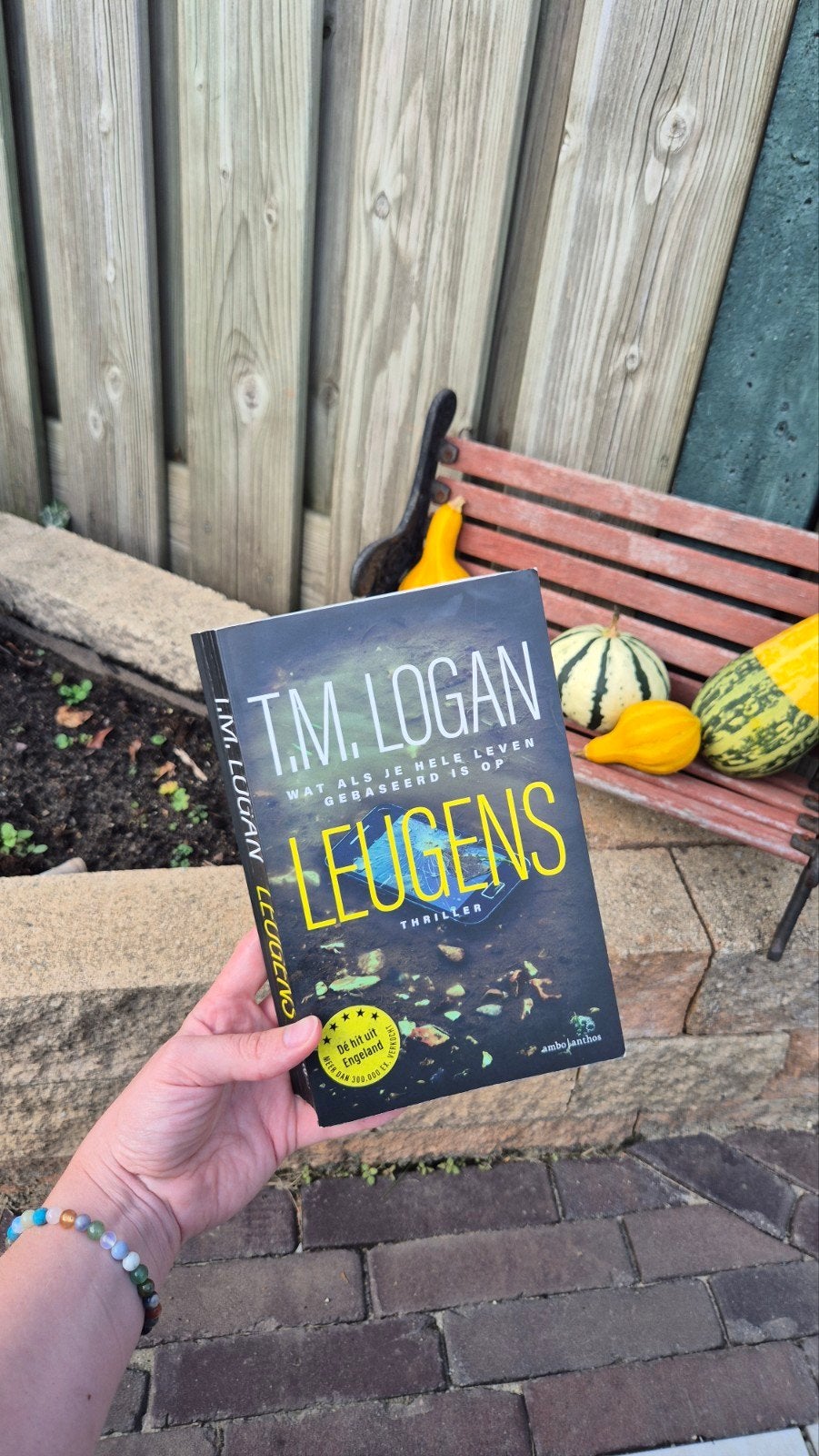 Leugens - T.M. Logan (Thriller), Ophalen of Verzenden, Gelezen, T.M. Logan, Wereld overig