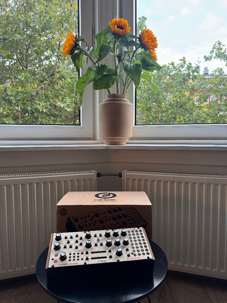 Moog Labyrinth mint 4 months old, Ophalen of Verzenden, Zo goed als nieuw, Overige merken
