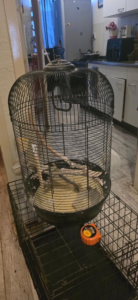 Ronde zwarte vogel kooi