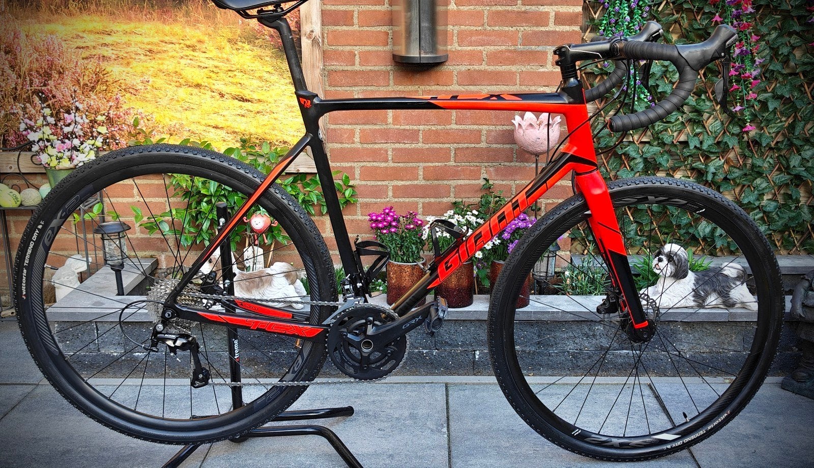 Giant TCX cravel/cross 2x 11 speed maat L, Ophalen, 28 inch, Heren, Aluminium