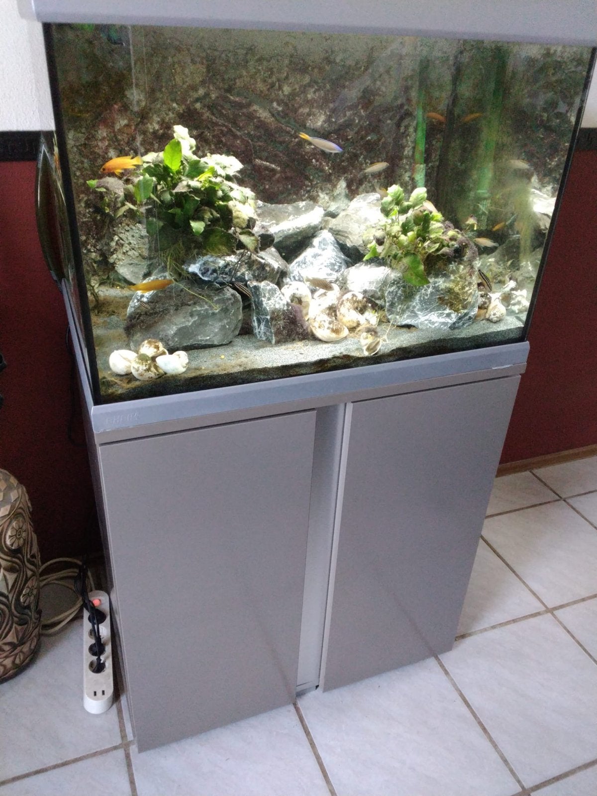 Eheim Proxima 175 aquarium, Ophalen, Gebruikt, Leeg aquarium