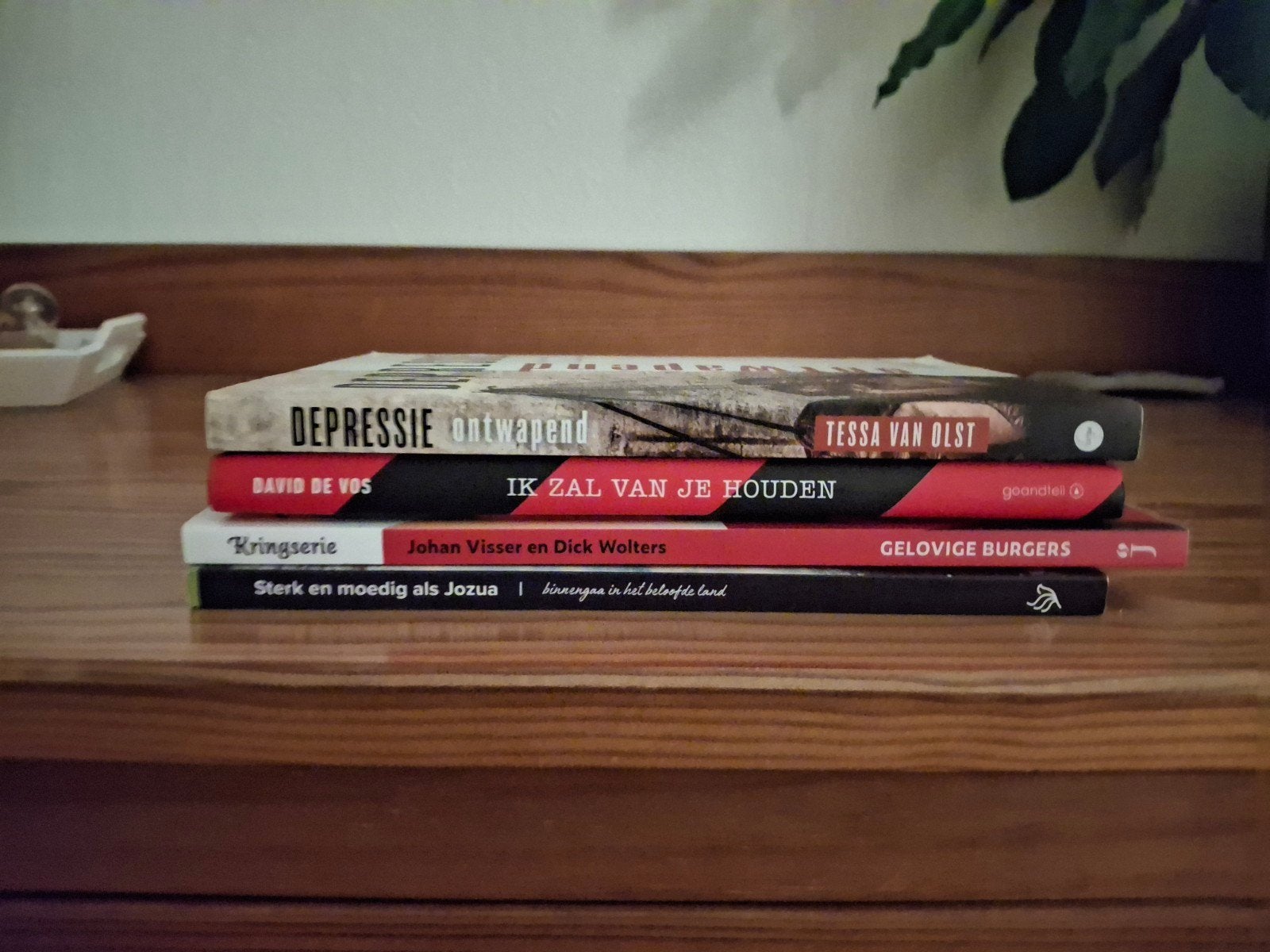 Diverse Christelijke Geloofsboeken - Set van 4, Ophalen, Zo goed als nieuw, Christendom | Protestants