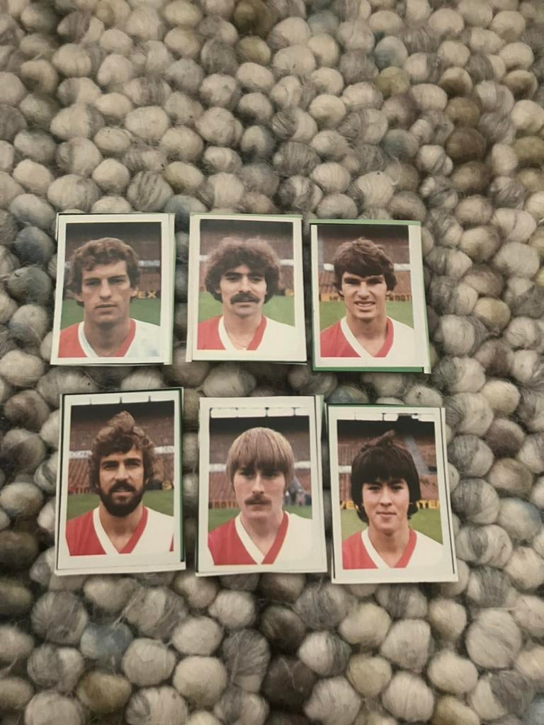 Feyenoord panini vanderhout 1980-1981, Ophalen of Verzenden, Gebruikt, Feyenoord, Poster, Plaatje of Sticker
