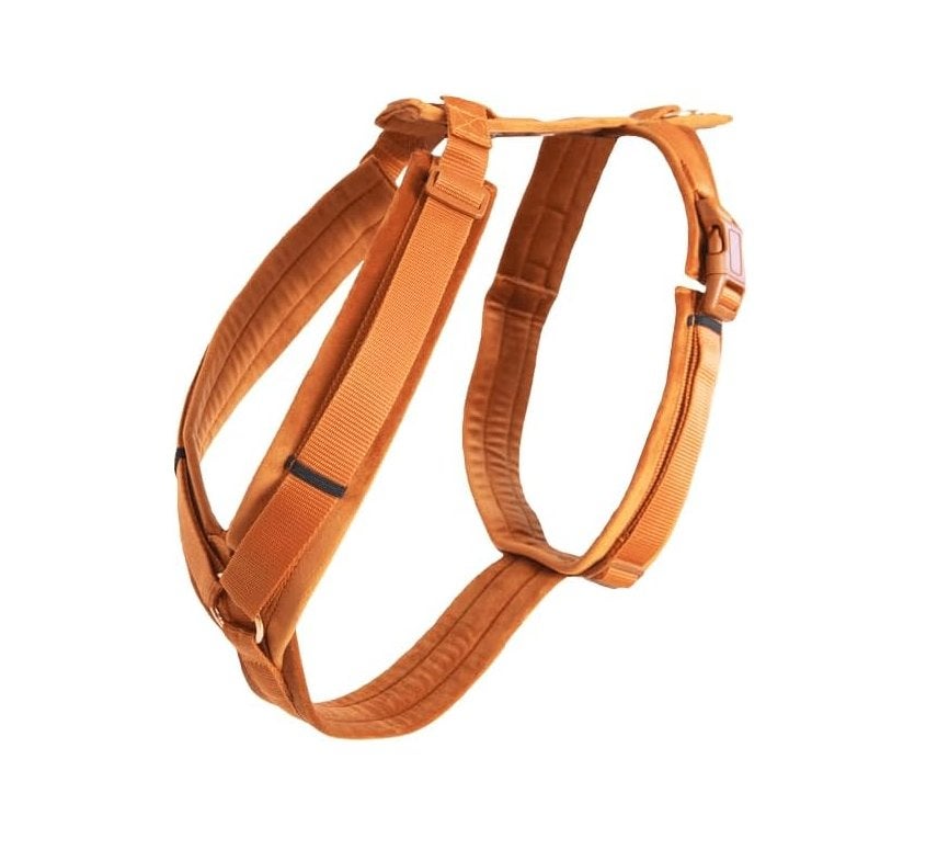 KENTUCKY Active Velvet Harnas Oranje XL Borst 78-96 cm -35%!, Ophalen of Verzenden, Nieuw, Hondentuig