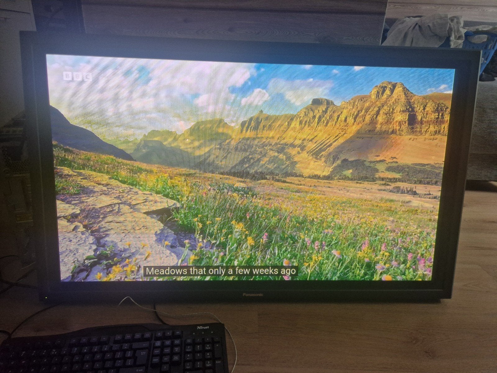 Panasonic Plasma TV 42 inch (zonder poot), Ophalen, Gebruikt, Panasonic, 50 Hz