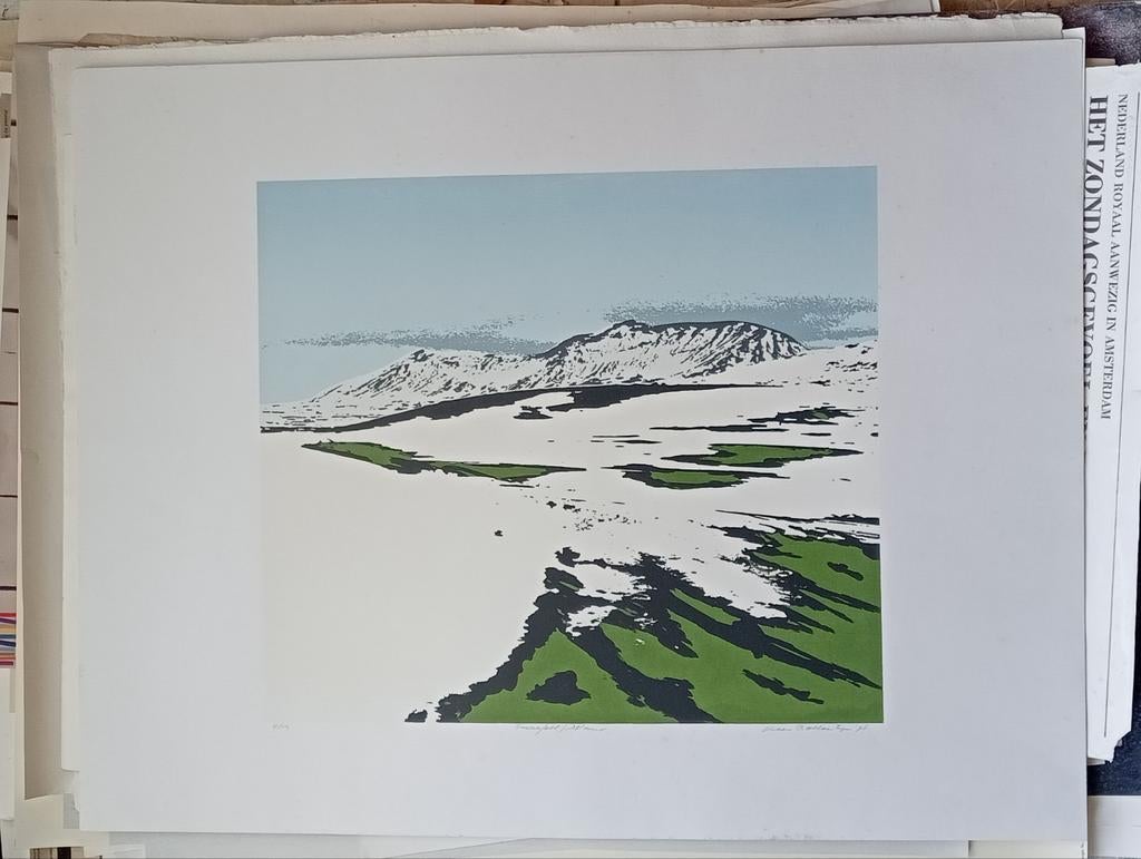 Kees Ballintijn Zeefdruk/Lithografie Landschap 1996, Antiek en Kunst, Kunst | Litho's en Zeefdrukken, Ophalen of Verzenden