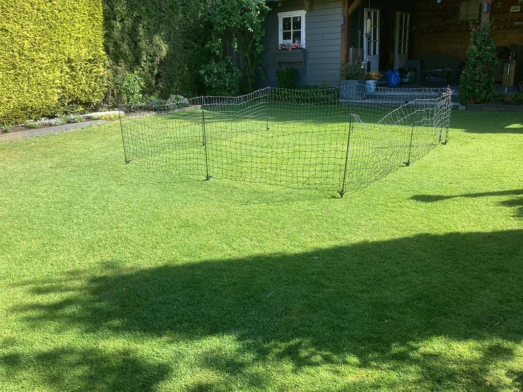Honden ren net, Ophalen