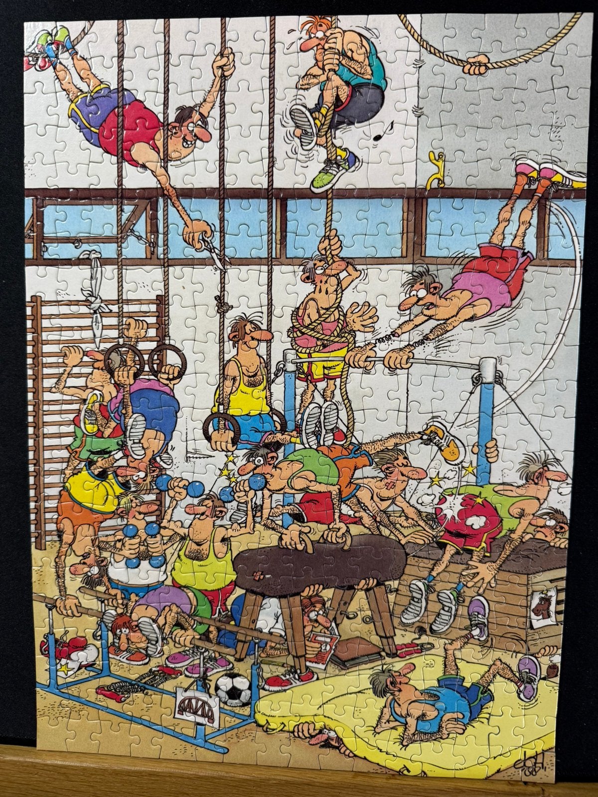 JVH 350 stukjes In de gymzaal, Hobby en Vrije tijd, Denksport en Puzzels, Ophalen of Verzenden, Minder dan 500 stukjes, Zo goed als nieuw