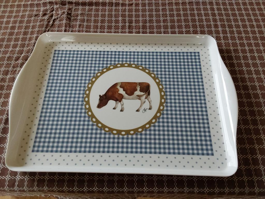 Jet ter Steege dienblad, Ophalen, Gebruikt, Rechthoekig, Kunststof