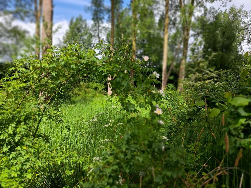 Perceel grond (natuur) te koop, Huizen en Kamers, Kavels en Percelen, Vianen, Verkoop zonder makelaar, 1500 m² of meer