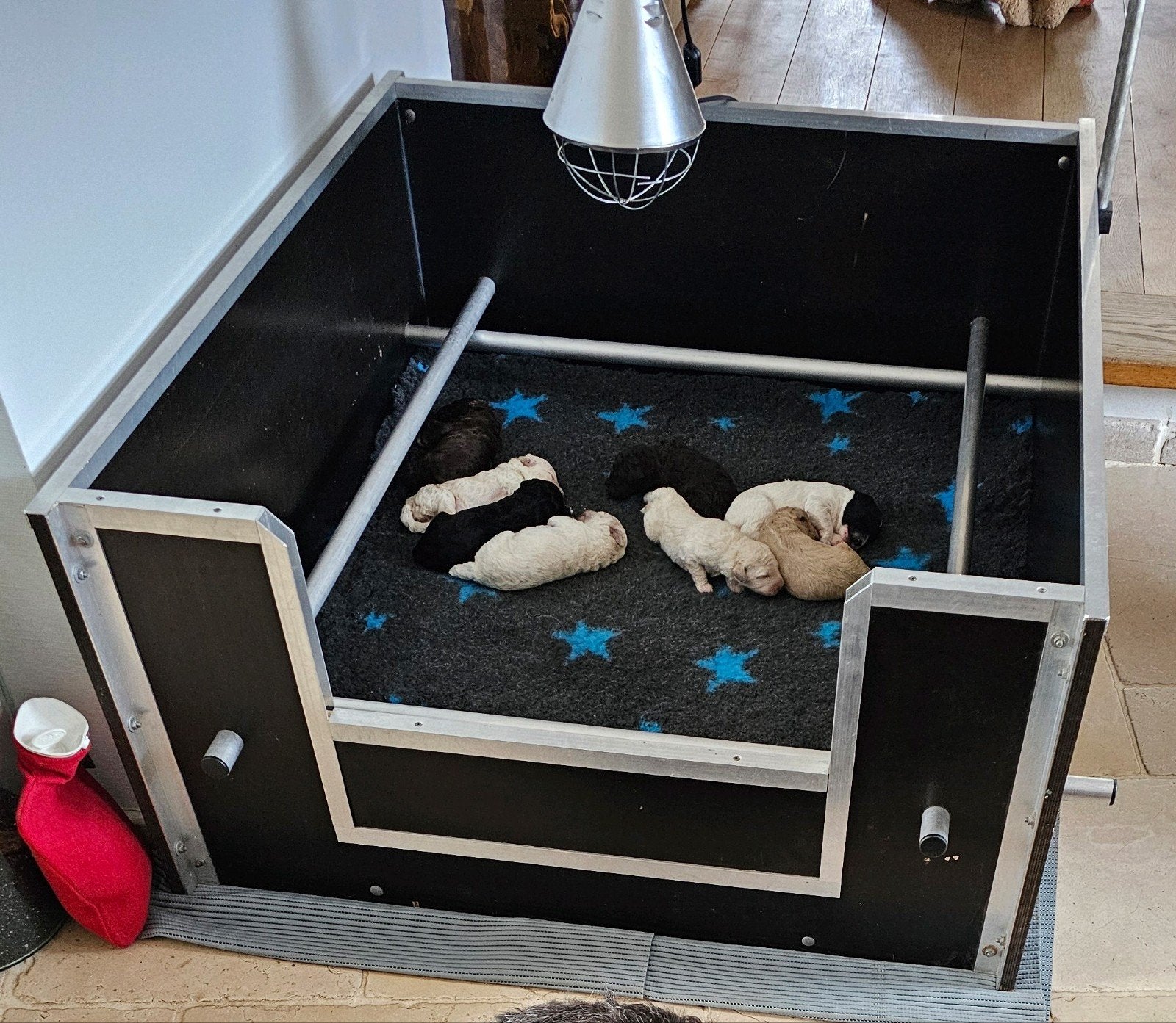 Werpkist (zware kwaliteit) met toebehoren! Zeer complete set, Dieren en Toebehoren, Honden-accessoires, Gebruikt, Ophalen