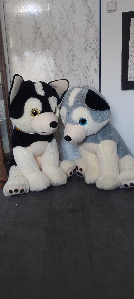 pluche hond, Overige karakters, Zo goed als nieuw, Middelgroot (20 tot 80 cm), Hond
